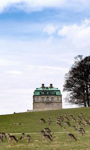 Den Kongelige Samling åbner sæsonen på Eremitageslottet i denne weekend 18.–19. april med to arrangementer, der sætter fokus på den kongelige jagt som historisk, politisk og kulturelt fænomen. Gennem foredrag og naturvandring udfoldes parforcejagtens betydning for landskabet, ved hoffet og sættes i kontekst til nutidens natursyn i samarbejde med Museum Nordsjælland.