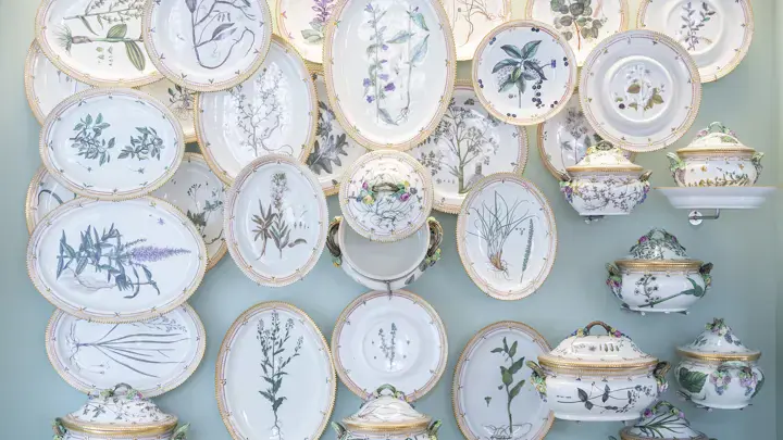 1,351 Flora Danica parts are finished 