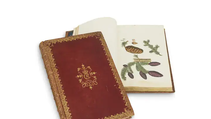 The first volume of the Flora Danica encyclopedia is published.