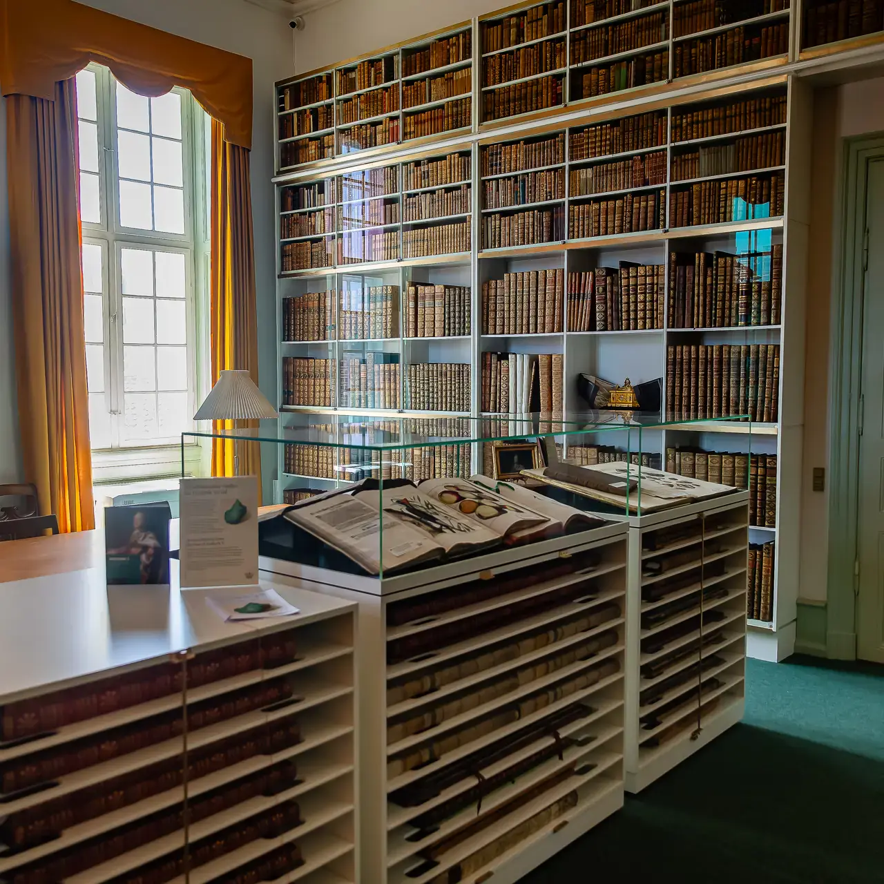 H.M. Kongens Håndbibliotek